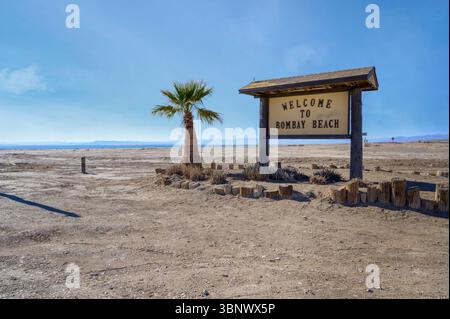 Bienvenue à Bombay Beach et palmier à Salton Sea, Californie, États-Unis. Banque D'Images