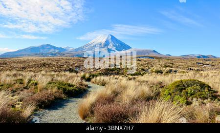 Tama Lake Track, Tama Lake Trail Banque D'Images