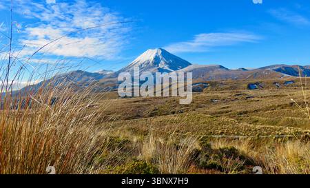 Tama Lake Track Banque D'Images