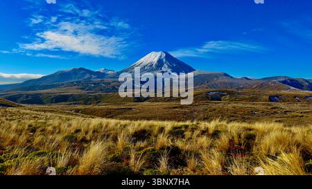 Tama Lake Track Banque D'Images