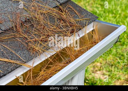 Gros plan de gouttière de pluie de maison bouchée par de la paille de pin, des aiguilles et des pommes de pin des arbres en automne. Entretien de la maison, travaux de triage et concept de dommages au toit Banque D'Images