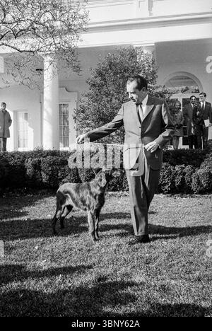 Photographie montrant le président Richard Nixon avec le roi Timahoe, son nouveau Setter irlandais, sur la pelouse de la Maison Blanche, le 28 janvier 1969. Un petit groupe de spectateurs se tient à l'arrière-plan alors que Nixon présente fièrement le chien, offert par son personnel, symbolisant la compagnie et la chaleur au sein de la maison présidentielle. Banque D'Images
