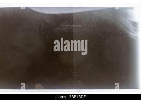 Film négatif couleur grungy 120mm isolé sur fond blanc. Matériau de film de format moyen sur fond blanc, espace réservé photo rétro. Banque D'Images