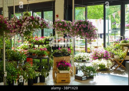 Affichage coloré du marché aux fleurs avec diverses plantes en pot sur des tables en bois Banque D'Images