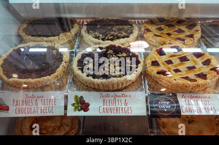 Délicieux assortiment de tartes et tartes fraîches affichées dans un coffret de boulangerie Banque D'Images