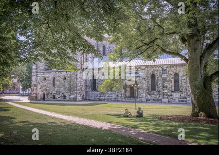 Deux personnes sont assises sur l'herbe à l'ombre d'un grand arbre, profitant d'un après-midi paisible devant la cathédrale de Lund, Suède, le 30 juin 2025 Banque D'Images