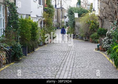 Propriétés résidentielles sur Kynance Mews pavés à South Kensington, Londres Angleterre Royaume-Uni Banque D'Images