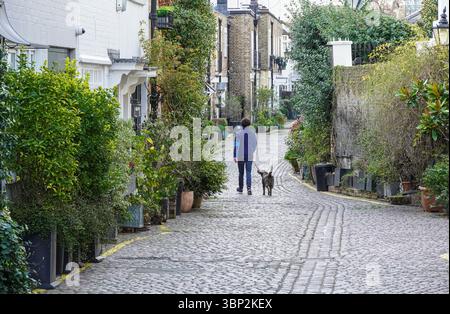 Propriétés résidentielles sur Kynance Mews pavés à South Kensington, Londres Angleterre Royaume-Uni Banque D'Images