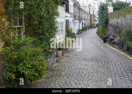 Propriétés résidentielles sur Kynance Mews pavés à South Kensington, Londres Angleterre Royaume-Uni Banque D'Images