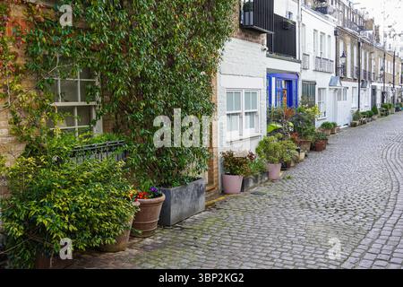 Propriétés résidentielles sur Kynance Mews pavés à South Kensington, Londres Angleterre Royaume-Uni Banque D'Images