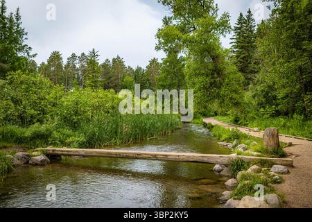 Une vue panoramique sur le sentier Mississippi River Headwaters, serpentant le long des rives de la célèbre rivière. Banque D'Images