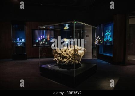 Musée Yale Peabody, Hall des minéraux, de la Terre et de l'espace. L’exposition Peabody’s Minerals présente des spécimens parmi les meilleurs exposés Banque D'Images