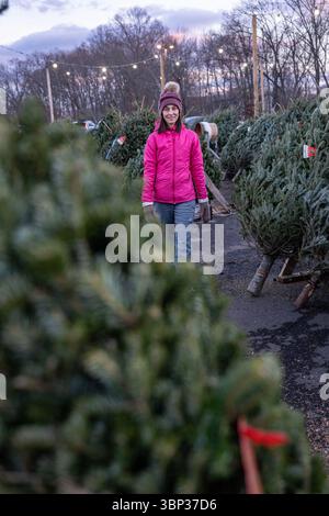 Stand de vente de sapins de Noël à West Haven, Connecticut. Banque D'Images