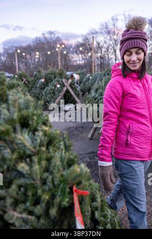 Stand de vente de sapins de Noël à West Haven, Connecticut. Banque D'Images
