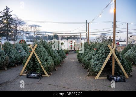 Stand de vente de sapins de Noël à West Haven, Connecticut. Banque D'Images