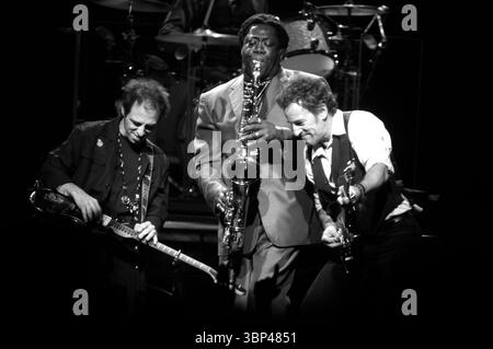 Castelvecchio di Reno, Bologne 18/2002 : Bruce Springsteen, Clarence Clemons et Nils Lofgren du E-Street Band, lors du concert au Palamalagutti Banque D'Images