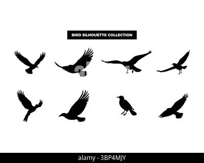 Silhouettes d'oiseaux vectoriels de haute qualité dans diverses poses, volantes, au repos et perchées. Idéal pour les logos, les t-shirts, les affiches et les proj de design sur le thème de la nature Illustration de Vecteur