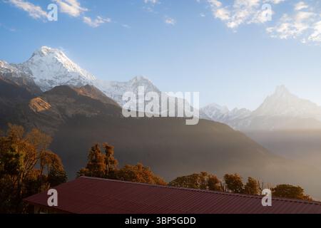Vue panoramique sur le lever du soleil depuis Tadapani dans les montagnes de l'Himalaya, Népal, mettant en valeur les sommets enneigés des chaînes de l'Annapurna, y compris Machapuchare. Banque D'Images