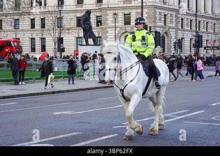 Officier de police à cheval à Westminster, Londres Angleterre Royaume-Uni Royaume-Uni Banque D'Images