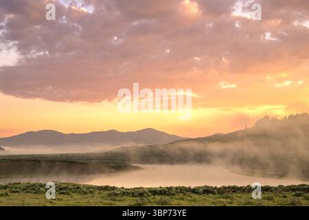 Thin Fog pend au-dessus de la rivière dans la vallée de Hayden, dans le parc national de Yellowstone Banque D'Images