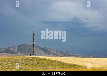 Tour de télécommunication sur la colline, près du champ agricole. Paysage de campagne, couvert Banque D'Images