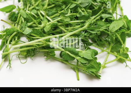 Gros plan de pousses vertes fraîches de petits pois. Nourriture saine macrobiotique sur fond blanc Banque D'Images