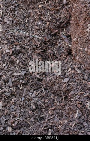Сlose-Up vue d'un grand tas de paillis organique à partir d'écorce déchiquetée et de copeaux de bois pour le jardinage, l'aménagement paysager ou le conditionnement du sol. Banque D'Images
