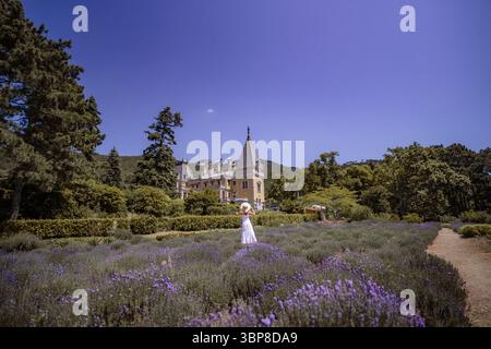 Une femme se tient dans un champ de fleurs de lavande Banque D'Images