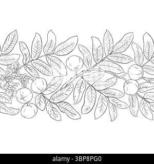 Andiroba Outline horizontal Seamless Pattern. Illustration de Vecteur
