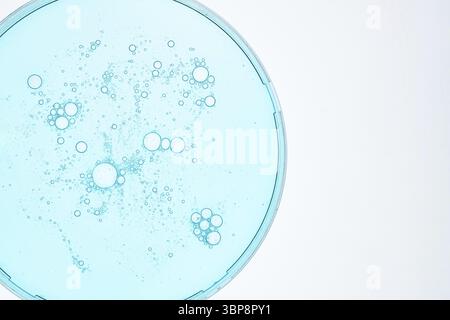 Gouttes transparentes de gel de sérum de produit cosmétique dans une boîte de Petri. Texture liquide avec bulles sur fond bleu. Produits de soin de la peau, cosmétiques naturels. Être Banque D'Images