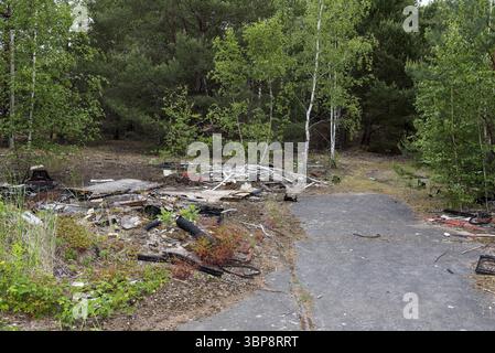 Déversement illégal de déchets volumineux dans la forêt. Intrus illégal Sperrmuell im Wald Banque D'Images