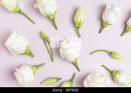 Composition avec de belles fleurs d'eustoma sur fond rose, vue de dessus. Fond floral Banque D'Images