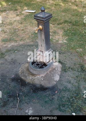 Bologne, Italie 3 juillet 2025 fontaine en laiton altérée nichée au milieu du feuillage vert, révélant le patrimoine du parc urbain pendant l'après-midi chaud d'été Banque D'Images