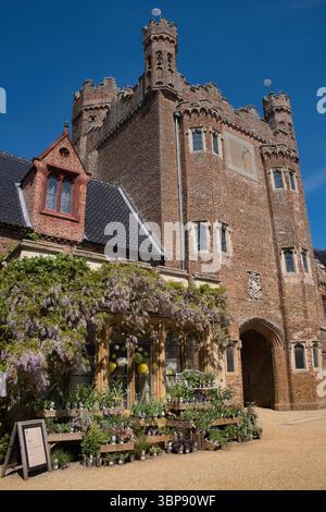 Wisteria grandit à Oxburgh Estate, Norfolk début mai... Banque D'Images