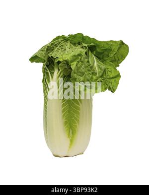 Chou de laitue vert isolé sur fond blanc avec chemin de détourage Banque D'Images
