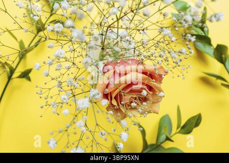 Composition florale. Rose rose, gitsophila blanc et brindilles de ruscus sur fond jaune. Carte de voeux pour anniversaire ou journée de femme Banque D'Images