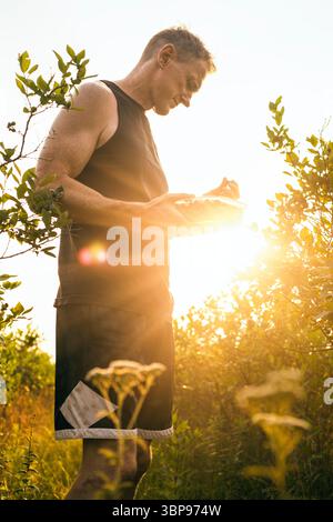 Un homme cueille des bleuets dans le jardin au coucher du soleil Banque D'Images