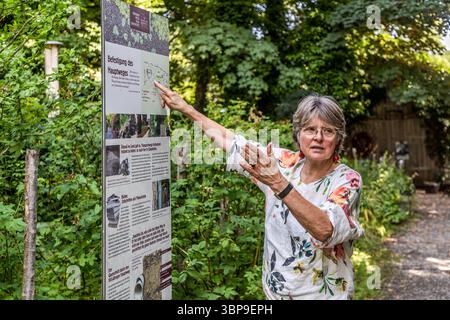 EVA Eberwein, copropriétaire et conservatrice de la Maison Mia et Hermann Hesse à Gaienhofen, debout à côté d'un panneau d'affichage dans le jardin. Le jardin aménagé par Hermann Hesse était à la fois un potager et un jardin ornemental : arbres fruitiers, arbustes à baies et parterres de légumes assuraient l’autosuffisance, tandis que les parterres de fleurs, les avenues et les arbustes servaient des objectifs esthétiques. Hermann-Hesse-Weg, Gaienhofen, Bade-Württemberg, Allemagne Banque D'Images
