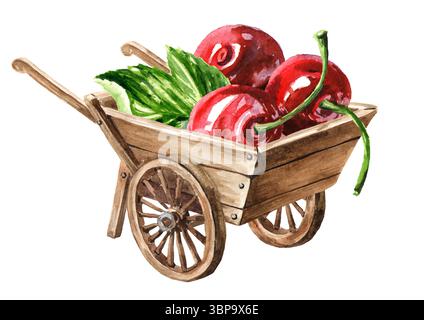 Chariot de brouette de jardin en bois avec cerise rouge. Illustration d'aquarelle dessinée à la main, isolée sur fond blanc Banque D'Images