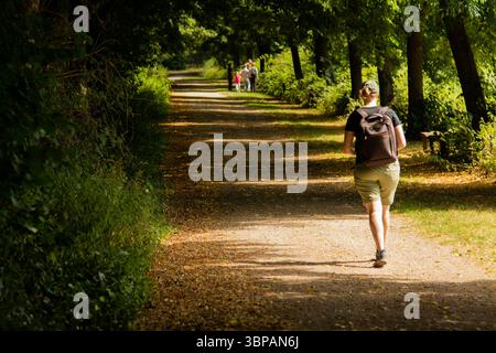 Randonneur marchant seul sur un sentier forestier ensoleillé avec un sac à dos, entouré de verdure luxuriante et de gens lointains profitant de la paisible forêt. Banque D'Images