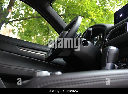 Vue de dessous de la position du conducteur dans une voiture garée sur une route forestière avec des arbres est visible dans les fenêtres Banque D'Images
