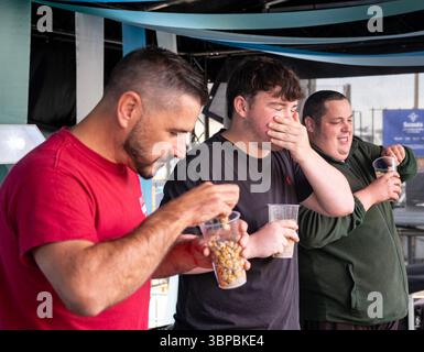 Les concurrents participent à la compétition « mangez une pinte de coques » à la régate Old Leigh, Leigh on Sea. Banque D'Images