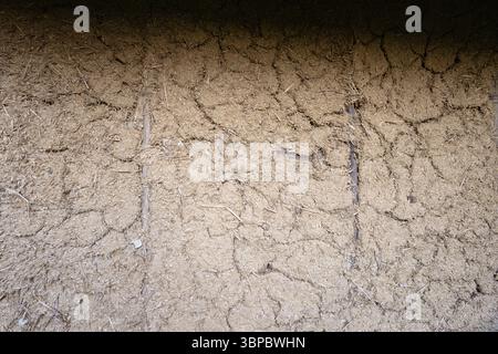 Gros plan d'un mur texturé fabriqué à partir de matériaux naturels comme la paille et la boue, offrant une sensation rustique et organique adaptée aux arrière-plans, papiers peints, o Banque D'Images