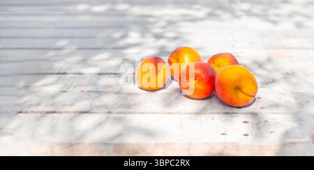 Les abricots mûrs colorés reposent sur une surface en bois ensoleillée. Récolte des fruits. Banque D'Images