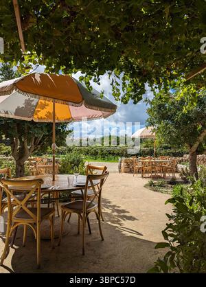 Charmante terrasse extérieure pour le dîner, avec tables et chaises sous une verrière luxuriante. Les parasols solaires colorés ajoutent de la vibration à la scène. Banque D'Images