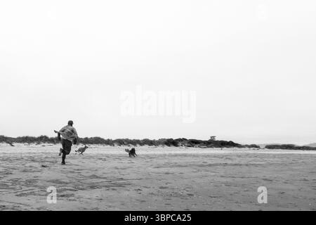 Rockaway Beach, Oregon, USA - 28 juillet 2018 : un homme court sur la plage avec ses deux chiens, profitant d'une journée de plaisir et d'exercice dans le sable. Banque D'Images