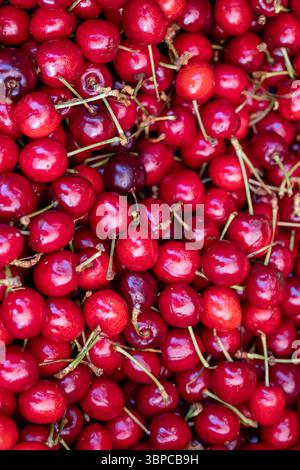 vue rapprochée au-dessus d'un grand tas de cerises rouges fraîches et mûres avec des tiges vertes, parfaites pour une collation saine ou un ingrédient de dessert d'été. le dee Banque D'Images