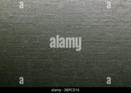 Surface texturée verte fournissant un motif détaillé et cohérent, parfait pour une utilisation dans divers projets de conception graphique, conception Web et présentations Banque D'Images