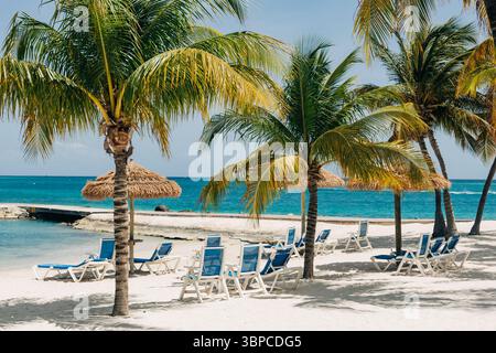 Des chaises de plage bordent le rivage de sable sous les palmiers, invitant à la détente au bord de l'océan bleu clair. Banque D'Images