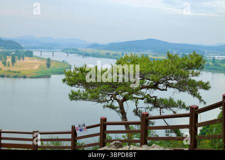Comté de Buyeo, Corée du Sud - 13 juin 2025 : depuis un point de vue au bord de la rivière près de Nakwaam Rock, un pin solitaire et une balustrade en bois encadrent une vue brumeuse du Banque D'Images